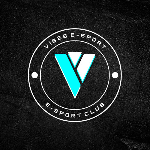 Logo Vibes Esport